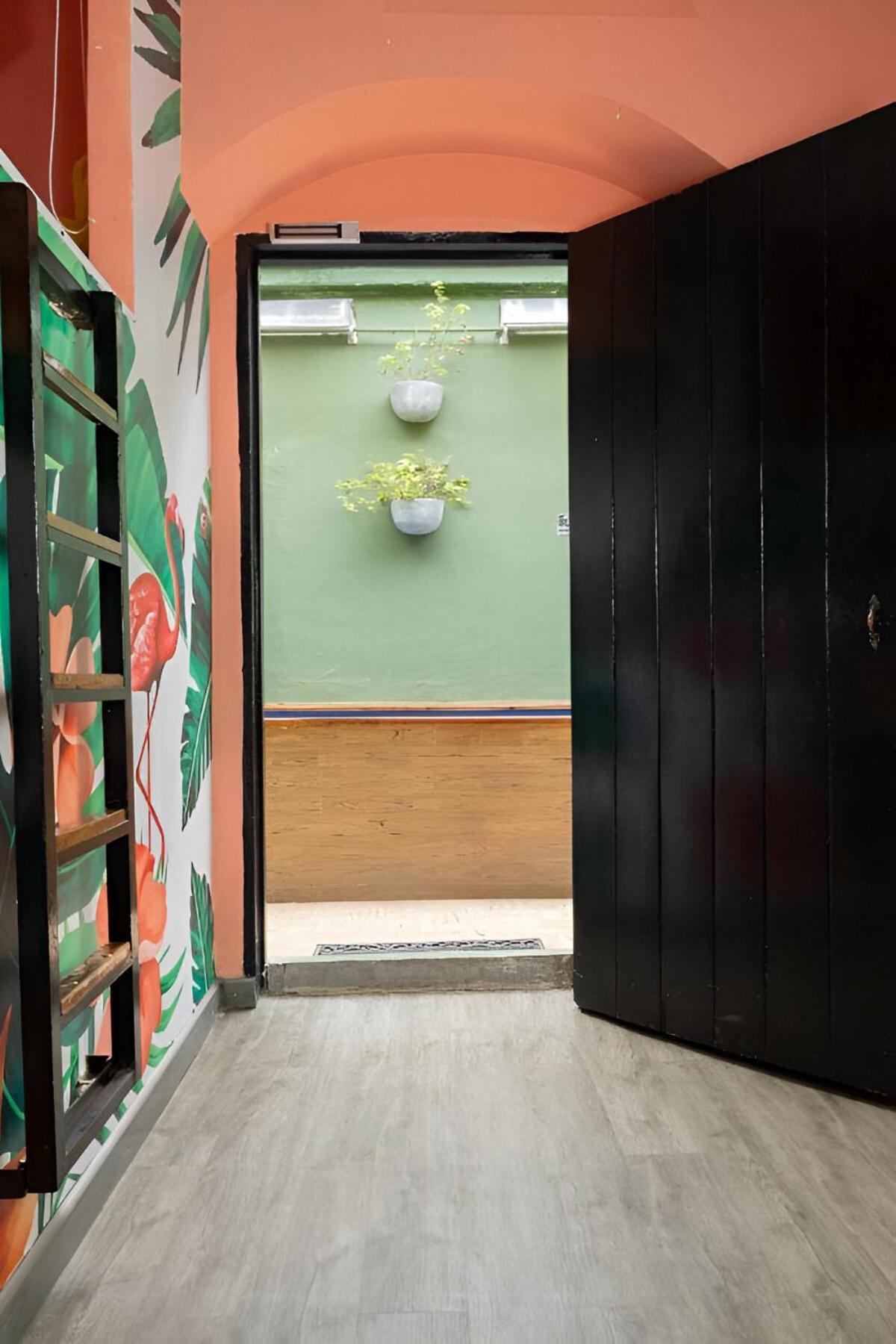 Seven Nights Hostel Cartagena エクステリア 写真
